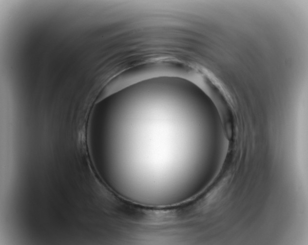 X0000088701281200706071532