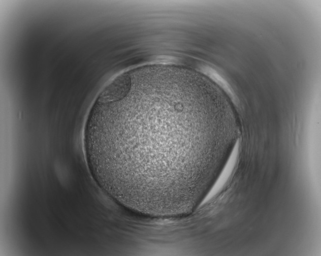 X0000088701283200706071532