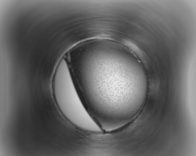 X0000088701284200706071532