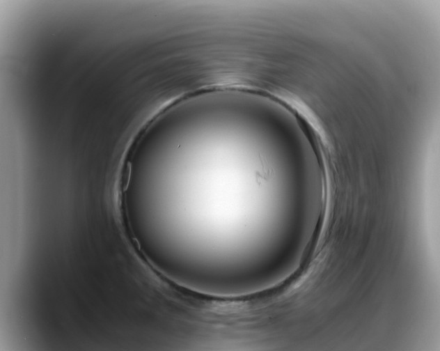 X0000088701285200706071532