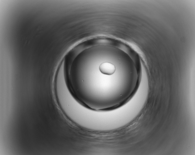 X0000088701287200706071532