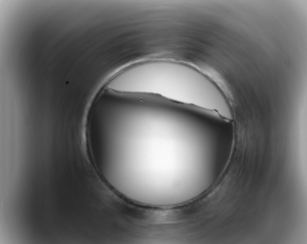 X0000088701288200706071532