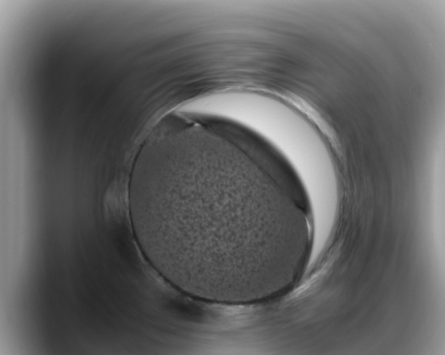 X0000088701289200706071532
