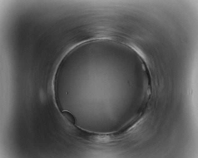 X0000088701291200706071532