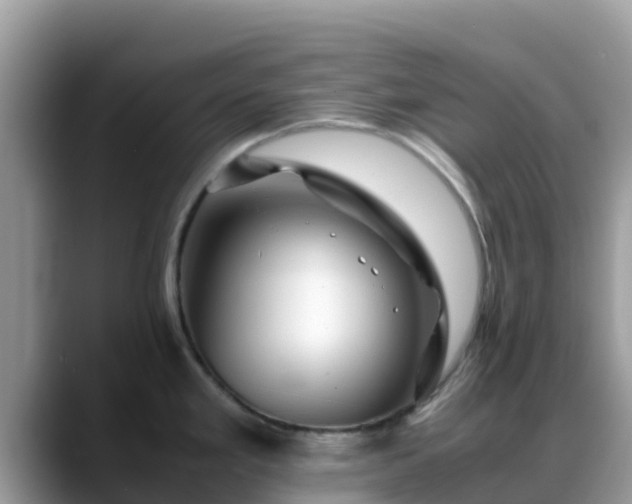 X0000088701293200706071532