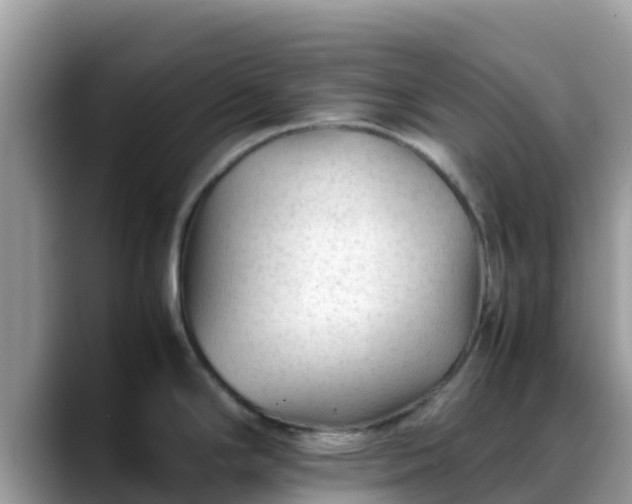 X0000088701294200706071532