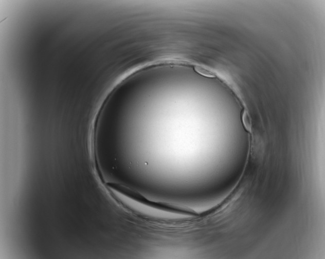 X0000088701295200706071532