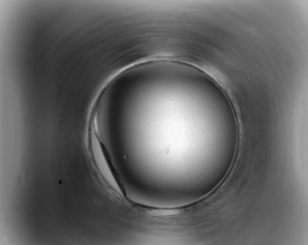X0000088701296200706071532