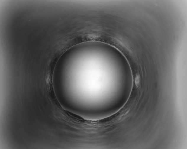 X0000088701299200706071531