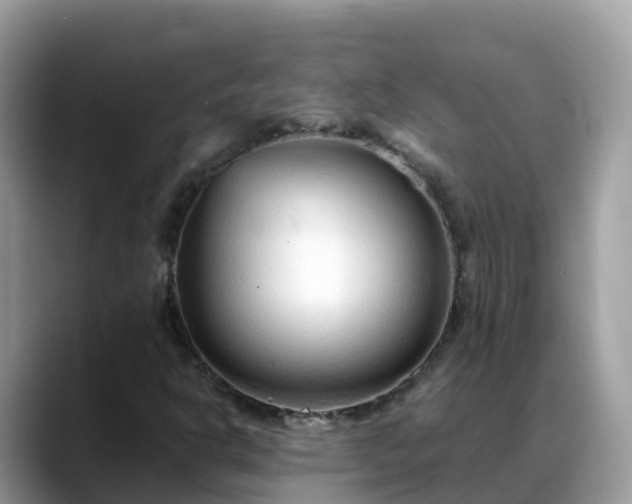 X0000088701302200706071531