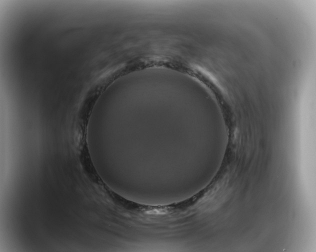 X0000088701303200706071531