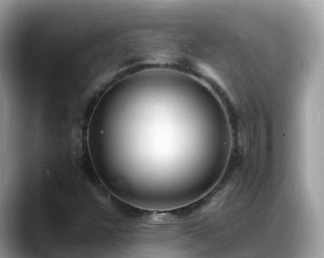 X0000088701304200706071532