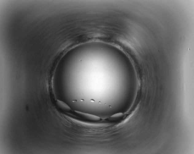 X0000088701305200706071532