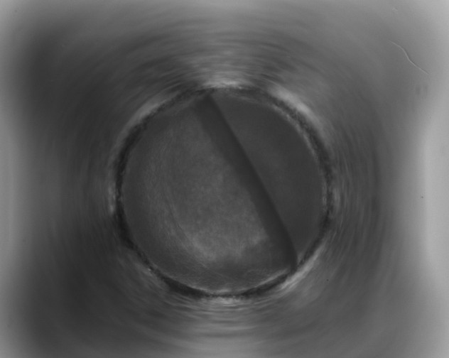 X0000088701306200706071532