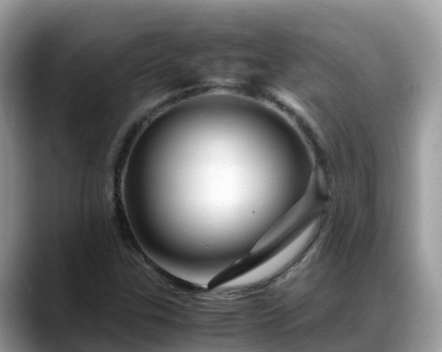 X0000088701307200706071532