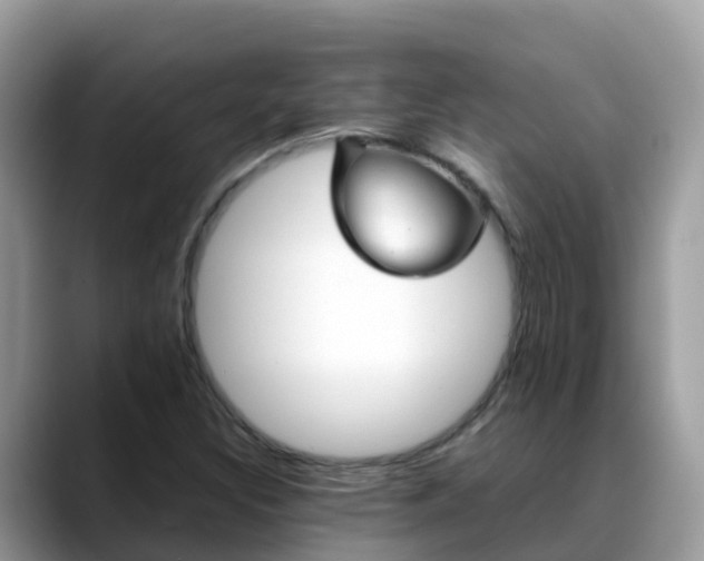 X0000088701308200706071532