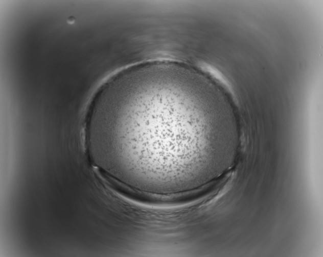X0000088701310200706071532