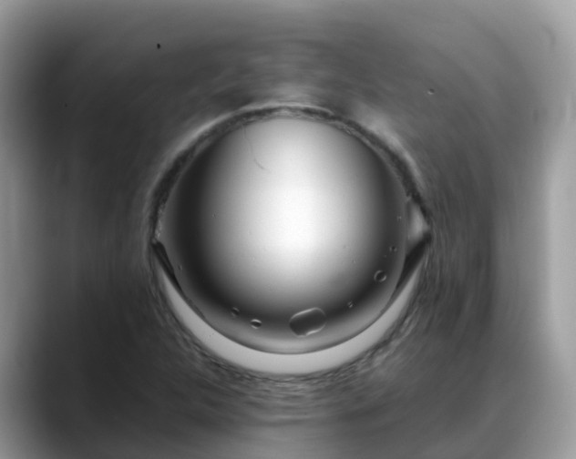 X0000088701312200706071532