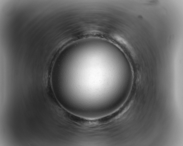 X0000088701313200706071532