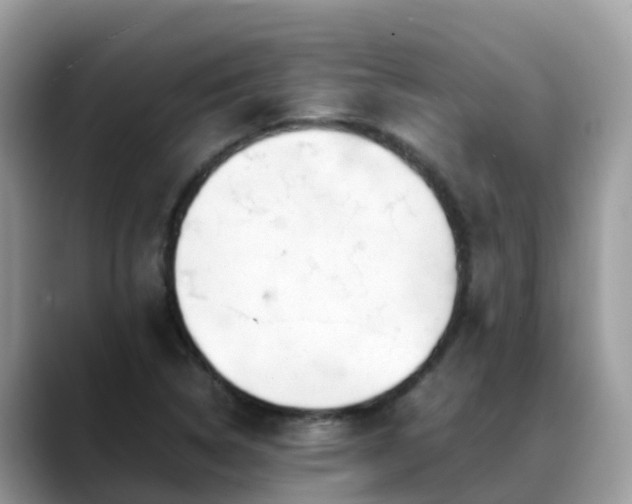 X0000088701314200706071532