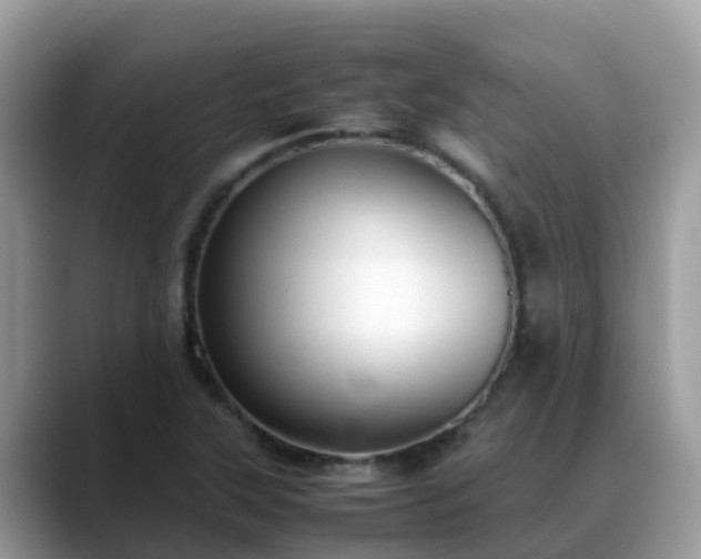 X0000088701315200706071532