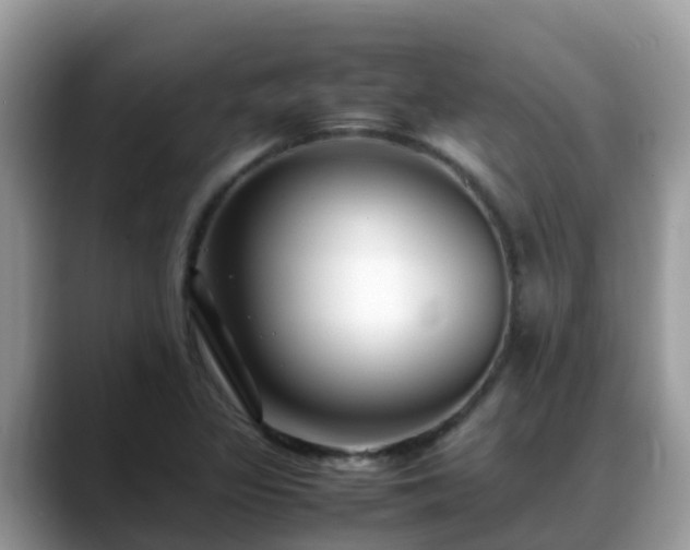 X0000088701317200706071532