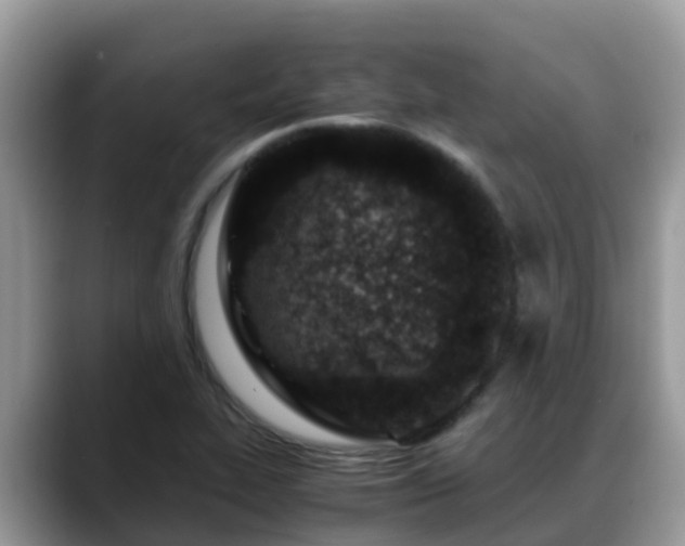 X0000088701319200706071532