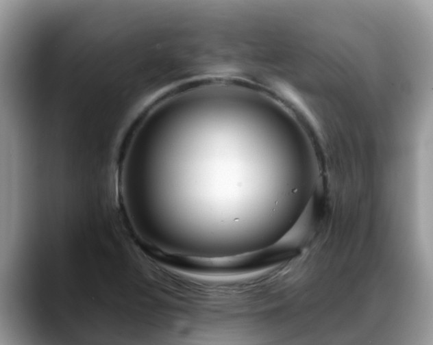 X0000088701320200706071532