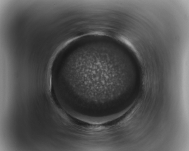 X0000088701323200706071532