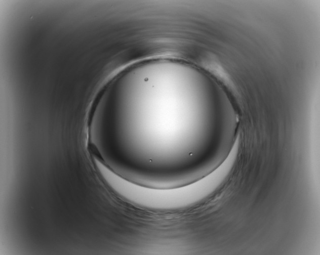 X0000088701324200706071532