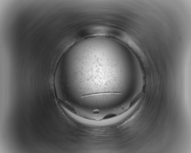 X0000088701329200706071532