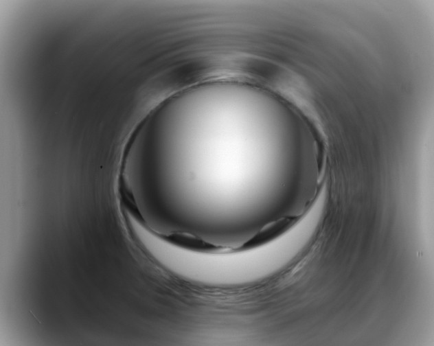 X0000088701330200706071532