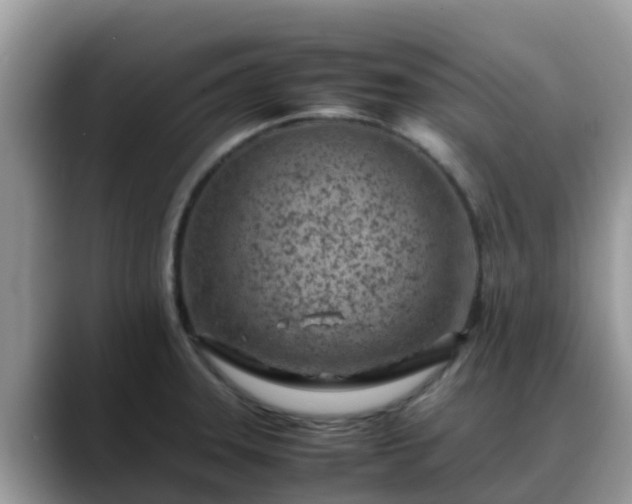 X0000088701331200706071532