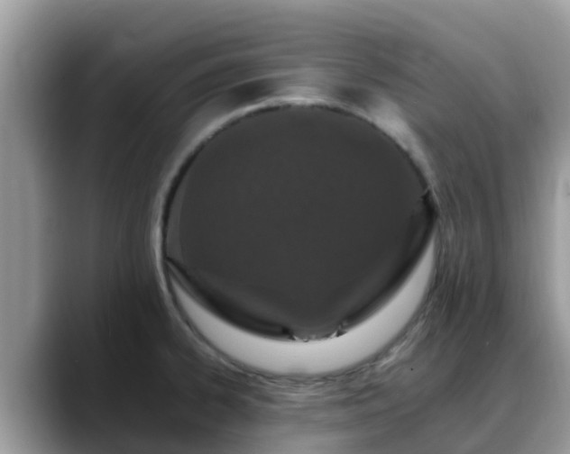 X0000088701334200706071532