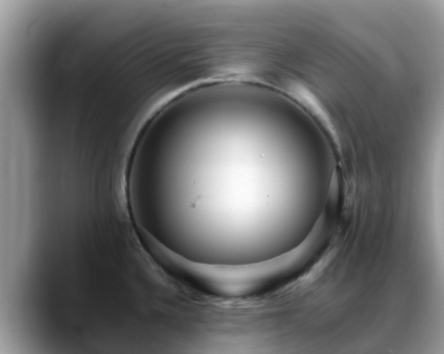 X0000088701336200706071532