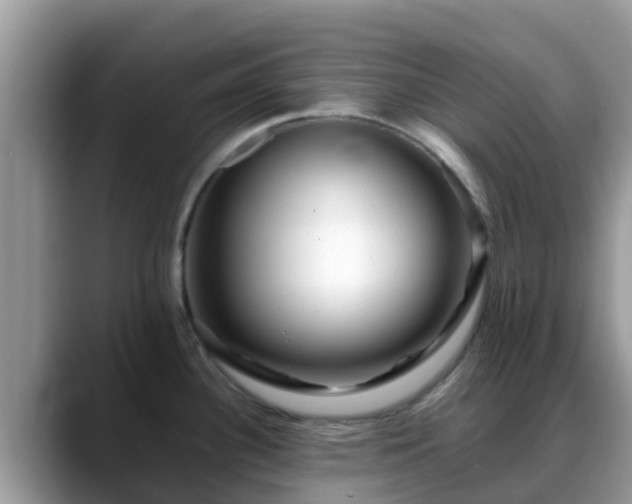 X0000088701340200706071532