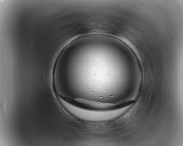 X0000088701341200706071532