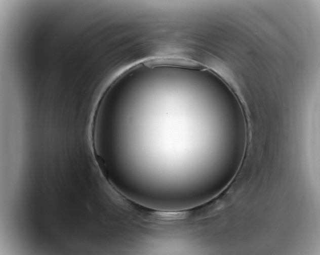 X0000088701344200706071532