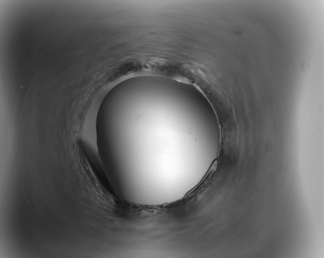 X0000088701345200706071531