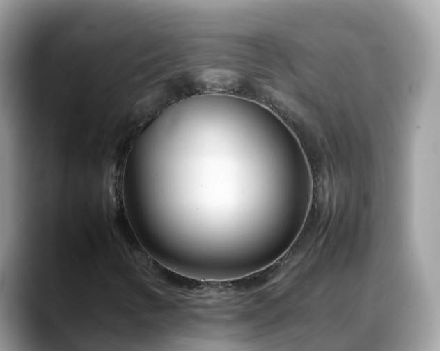 X0000088701346200706071531