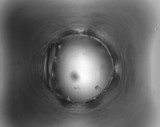 X0000088701347200706071531