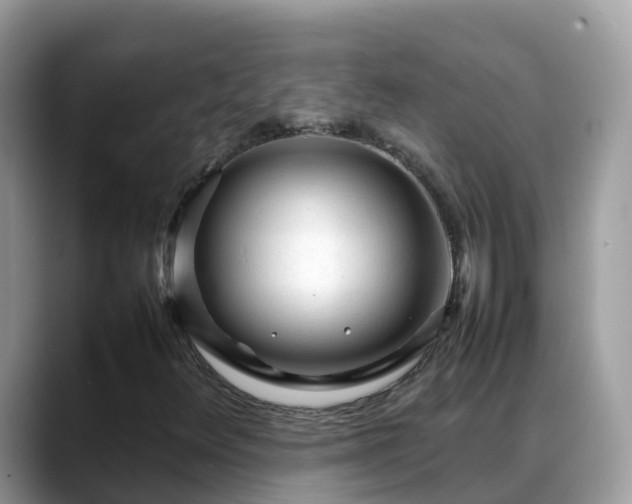 X0000088701348200706071531