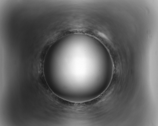 X0000088701350200706071531