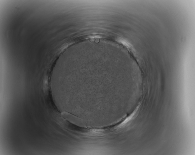 X0000088701353200706071531