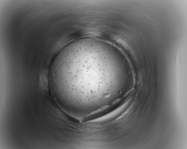 X0000088701354200706071531
