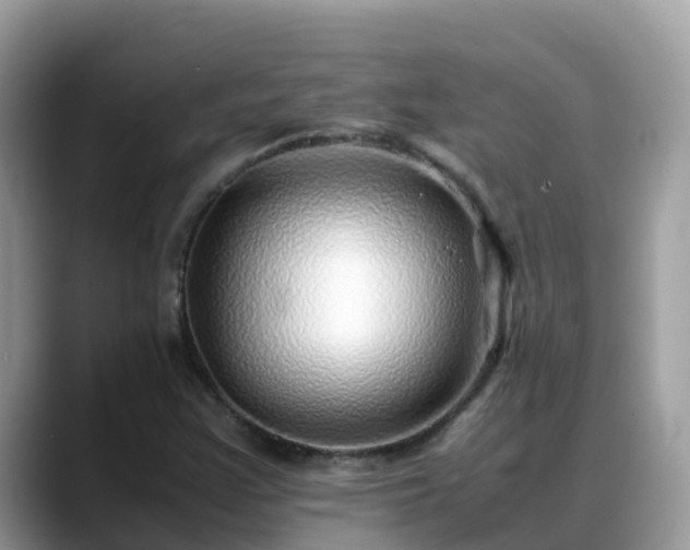 X0000088701355200706071531