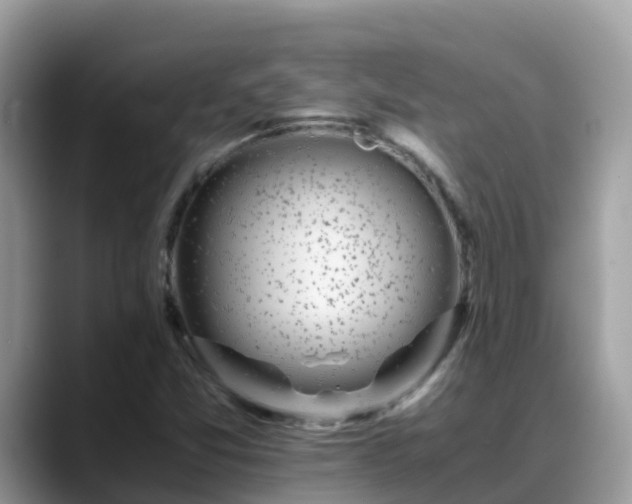 X0000088701357200706071531