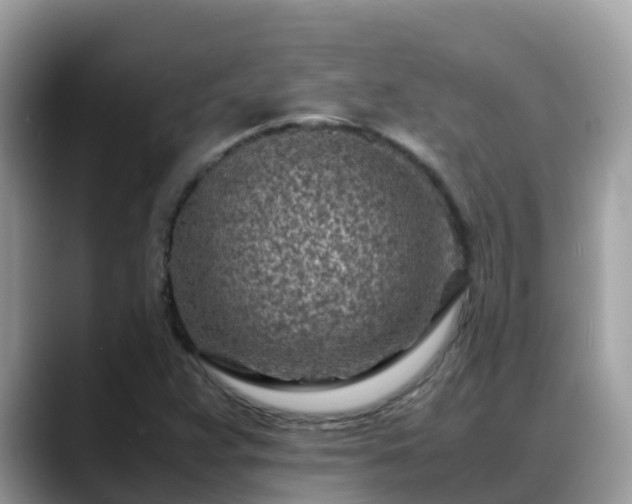 X0000088701359200706071531