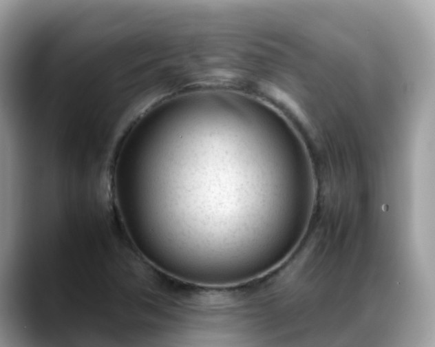 X0000088701362200706071531