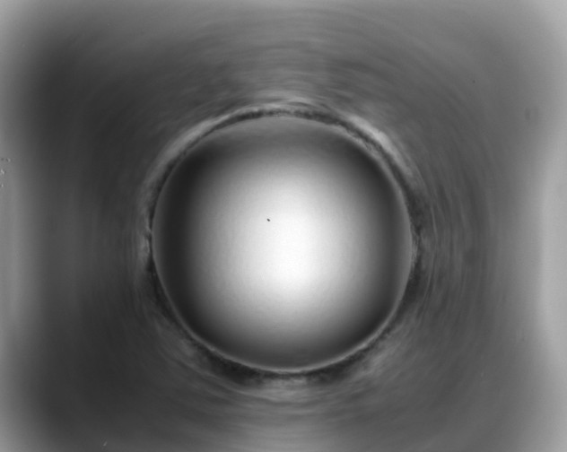 X0000088701363200706071531